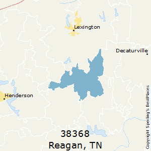 Reagan (zip 38368), TN