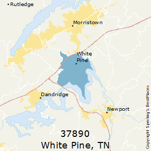 White Pine Tennessee Map Best Places To Live In White Pine (Zip 37890), Tennessee