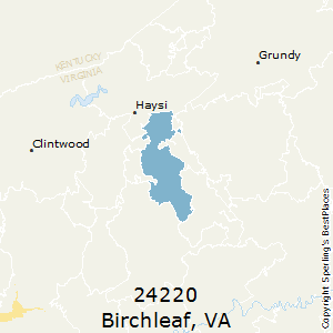 Birchleaf,Virginia County Map