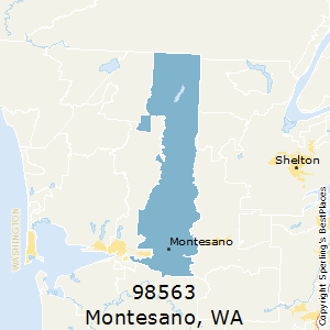 Montesano,Washington County Map