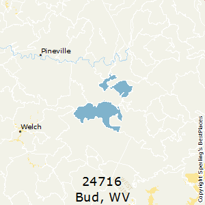 Bud,West Virginia County Map